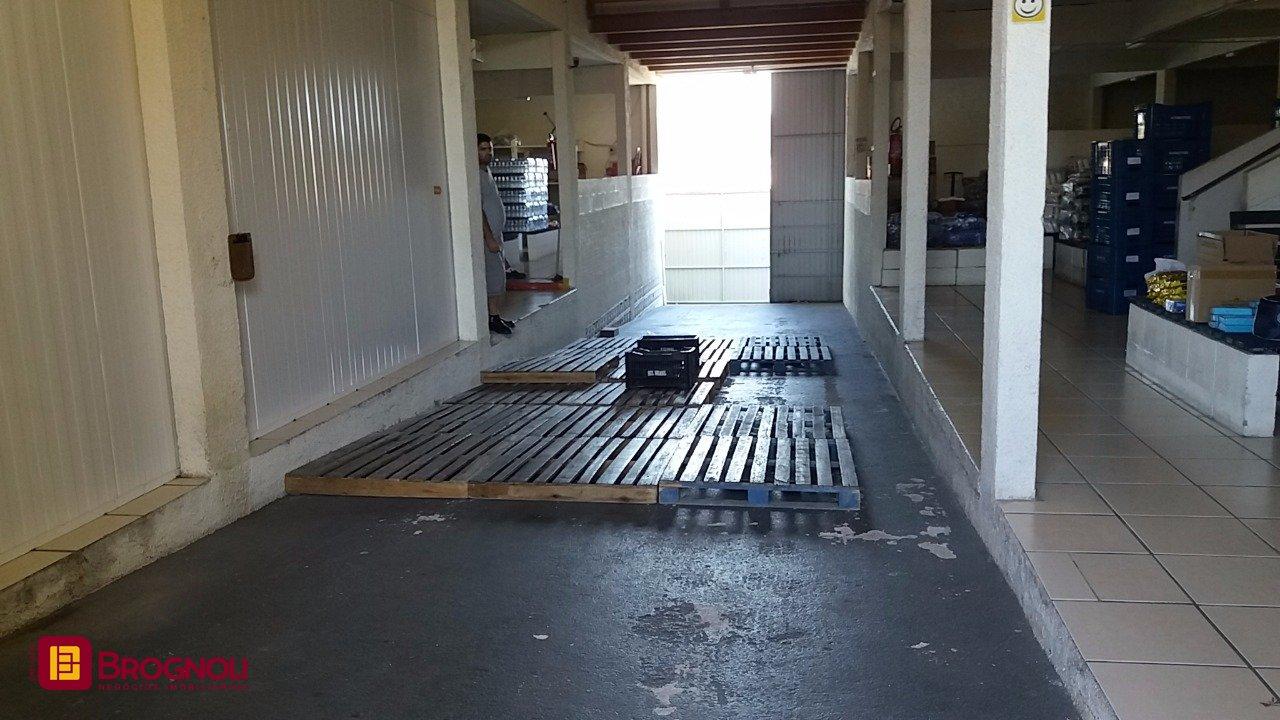 Galpão com 1270m², 6 garagens, no bairro Serraria em São José