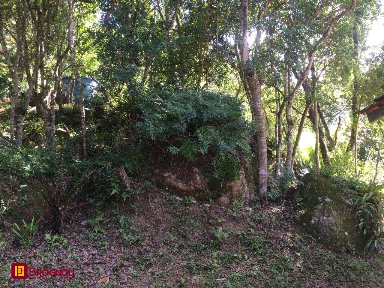 Sítio com 17763m², 3 quartos (sendo 1 suíte), 1 garagem, no bairro Vargem Pequena em Florianópolis