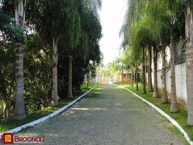Terreno com 450m², no bairro Ratones em Florianópolis