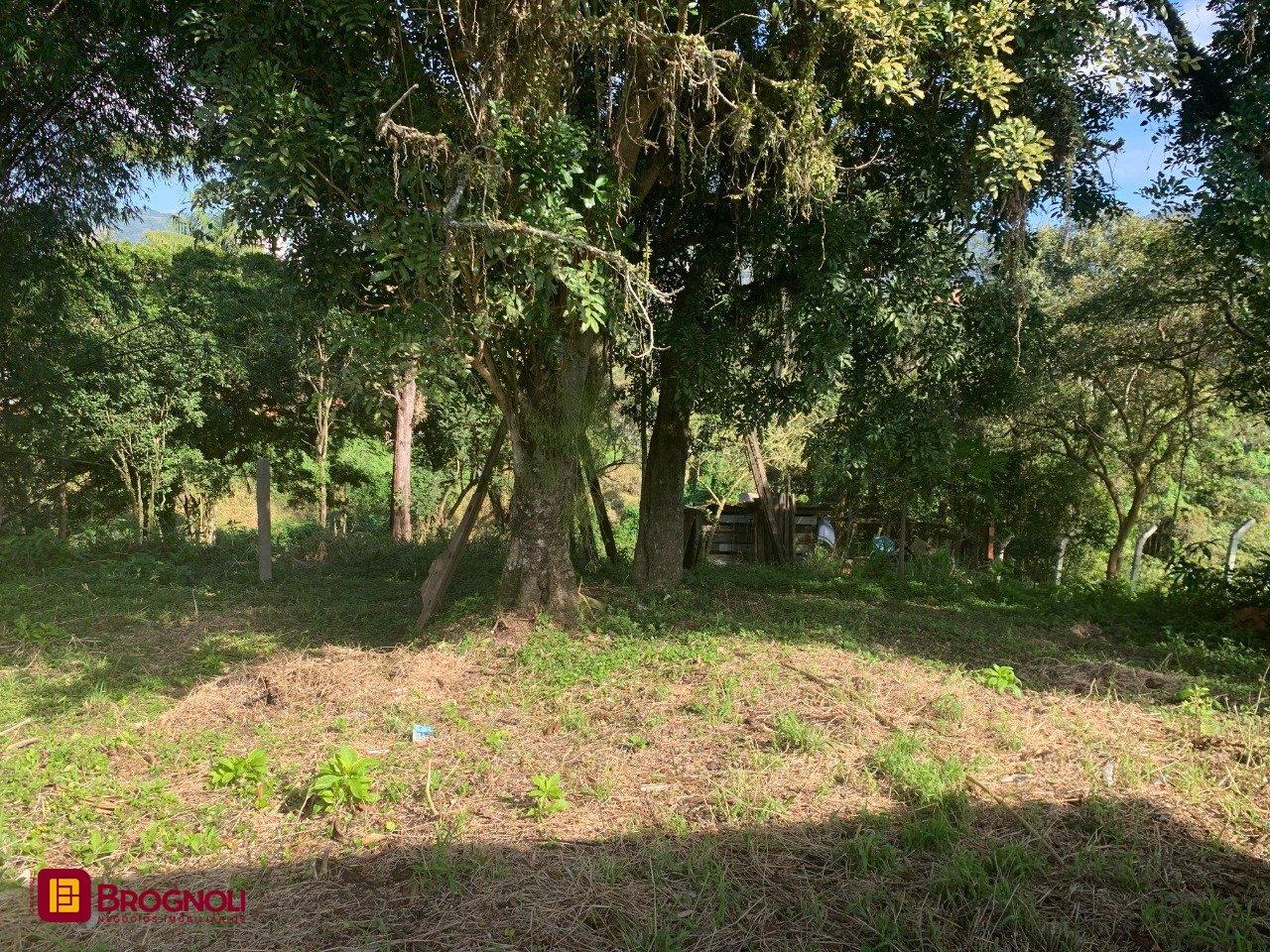 Terreno com 6184m², no bairro Bom Viver em Biguaçu