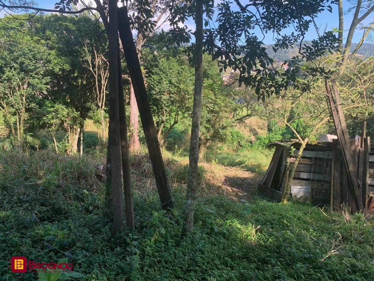 Terreno com 6184m², no bairro Bom Viver em Biguaçu