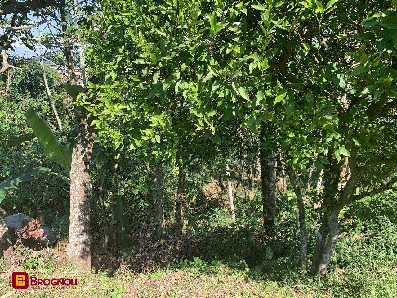Terreno com 6184m², no bairro Bom Viver em Biguaçu