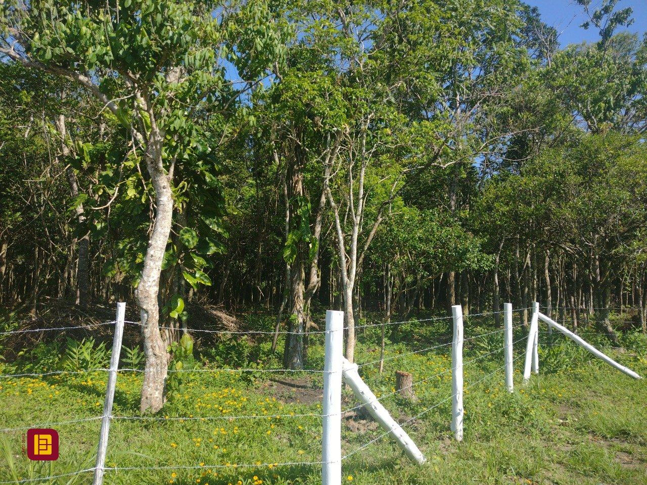 Terreno com 6394m², no bairro Ratones em Florianópolis