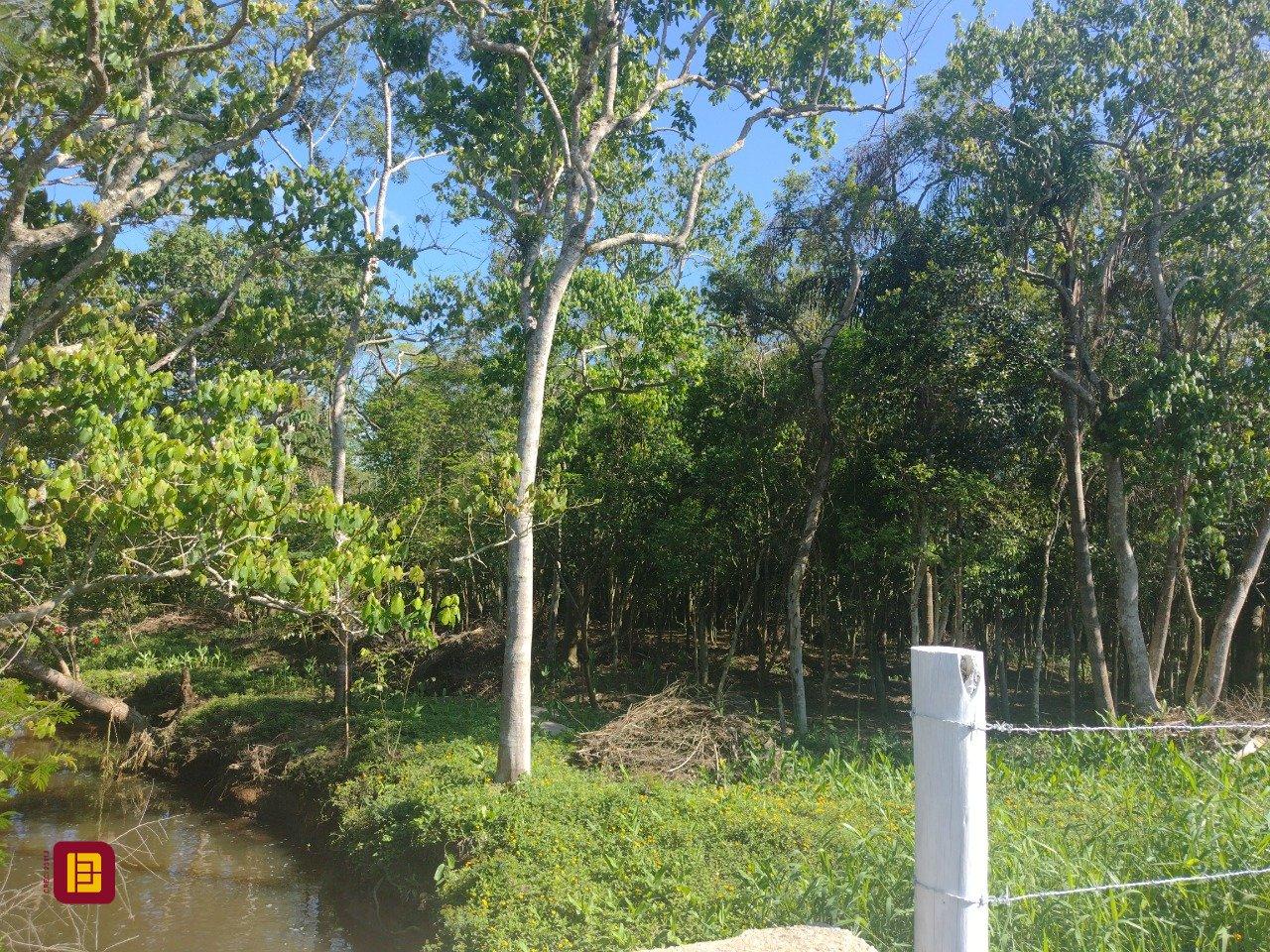 Terreno com 6394m², no bairro Ratones em Florianópolis
