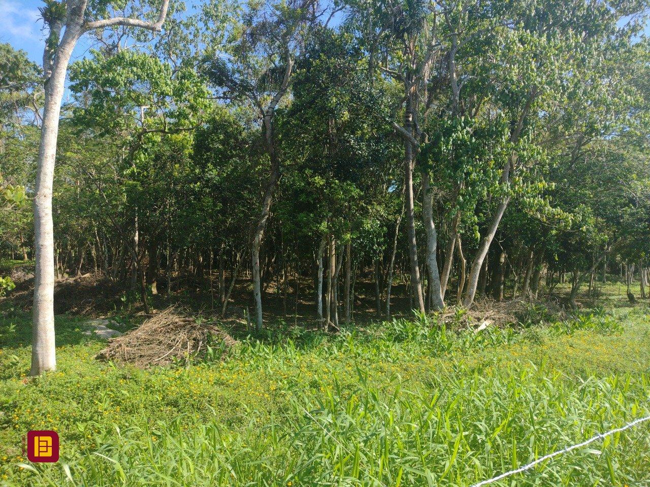 Terreno com 6394m², no bairro Ratones em Florianópolis