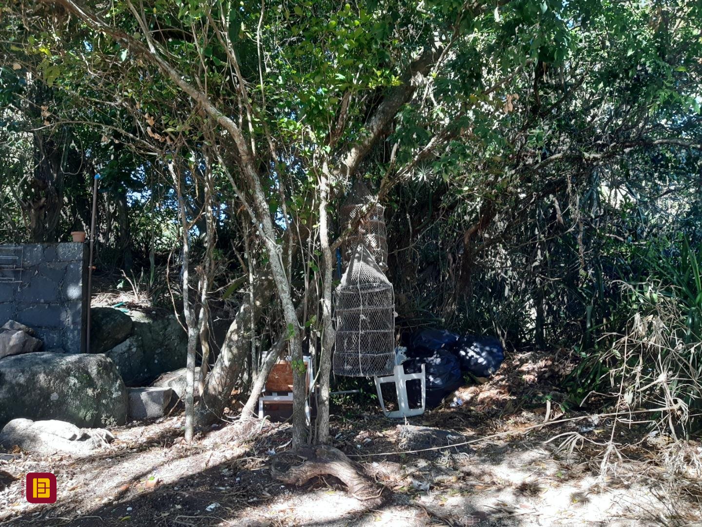 Terreno com 4260m², no bairro Ribeirão da Ilha em Florianópolis
