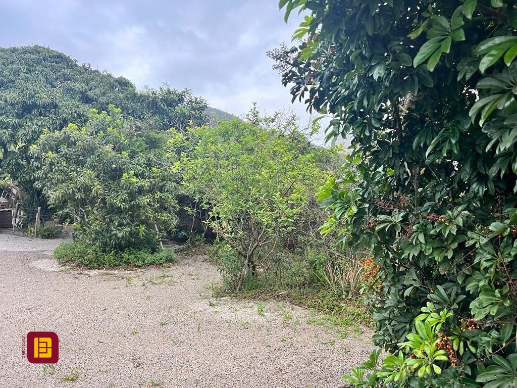 Terreno com 4215m², no bairro Alto Ribeirão em Florianópolis