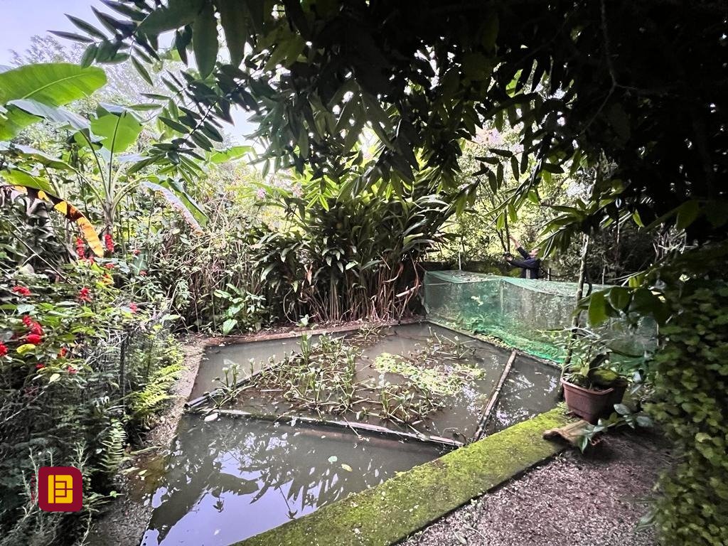 Terreno com 4215m², no bairro Alto Ribeirão em Florianópolis