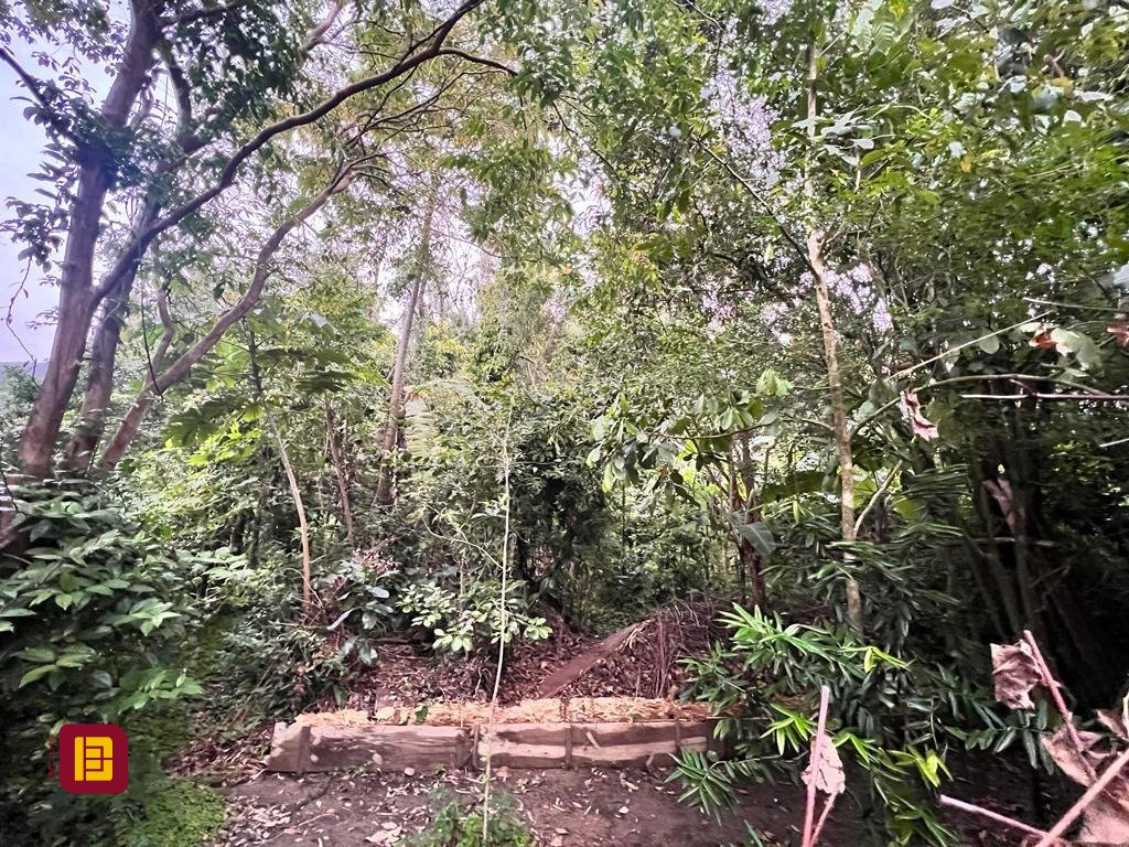 Terreno com 4215m², no bairro Alto Ribeirão em Florianópolis