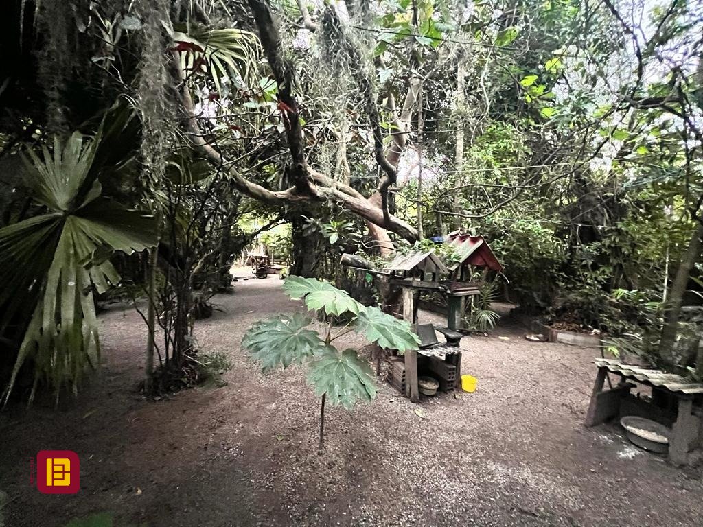 Terreno com 4215m², no bairro Alto Ribeirão em Florianópolis