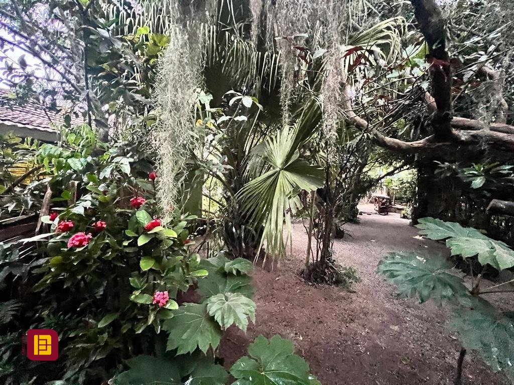 Terreno com 4215m², no bairro Alto Ribeirão em Florianópolis