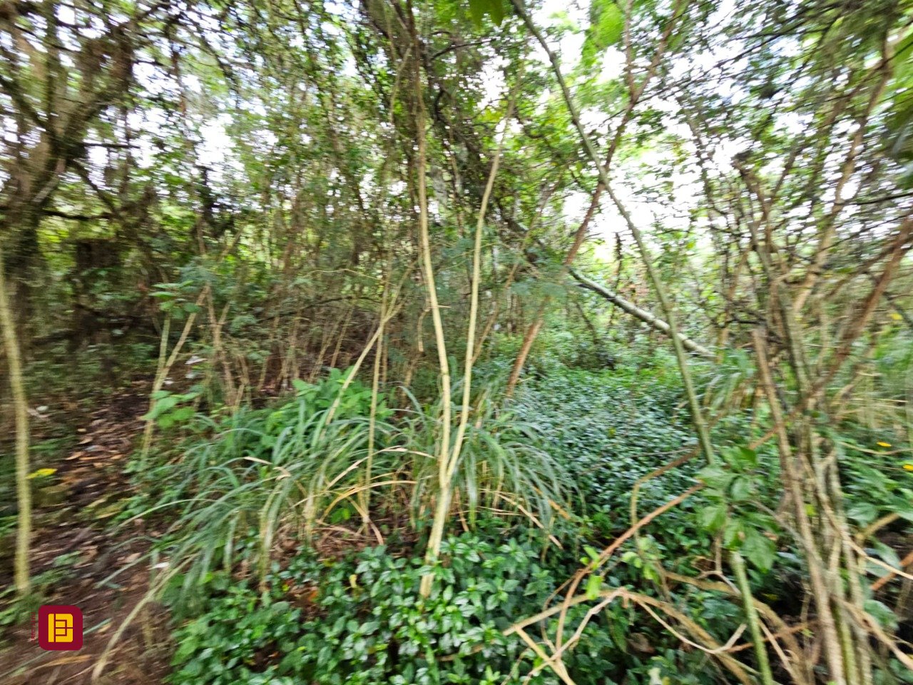 Terreno com 14520m², no bairro Ratones em Florianópolis