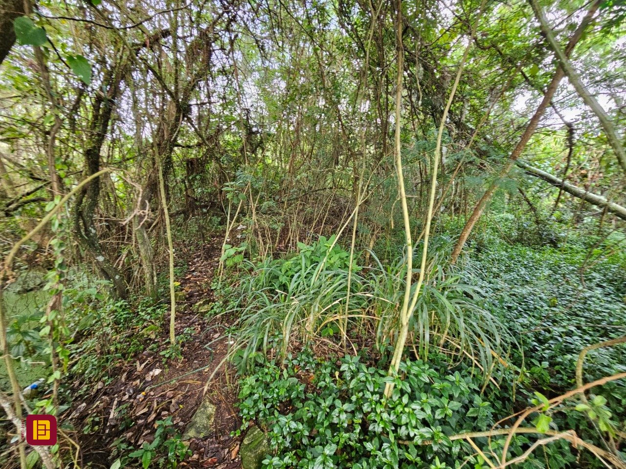 Terreno com 14520m², no bairro Ratones em Florianópolis