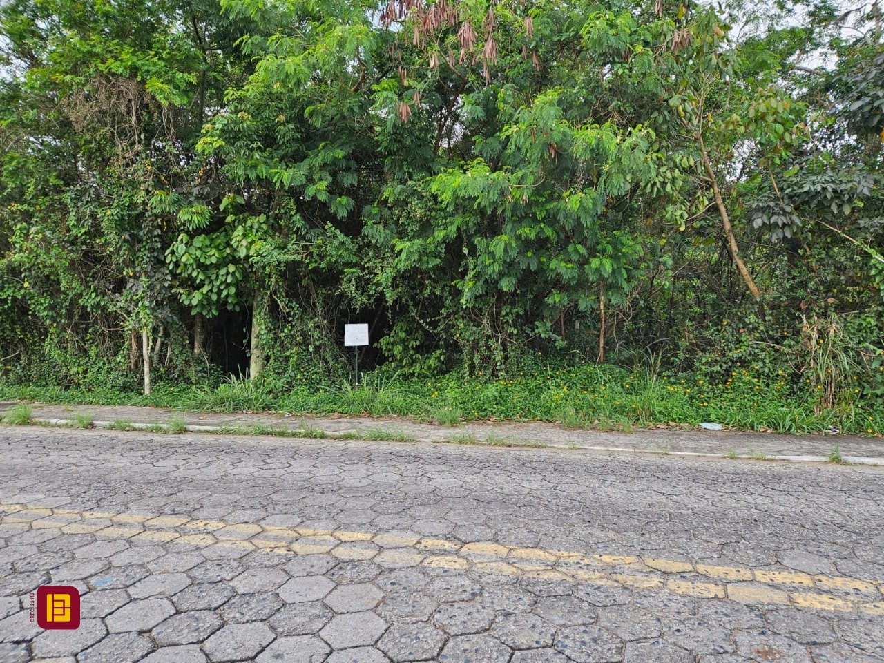 Terreno com 14520m², no bairro Ratones em Florianópolis