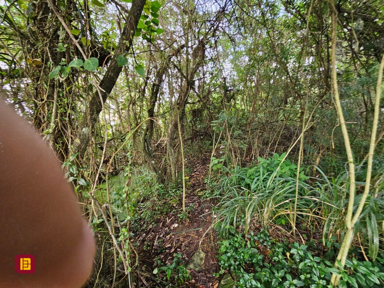 Terreno com 14520m², no bairro Ratones em Florianópolis
