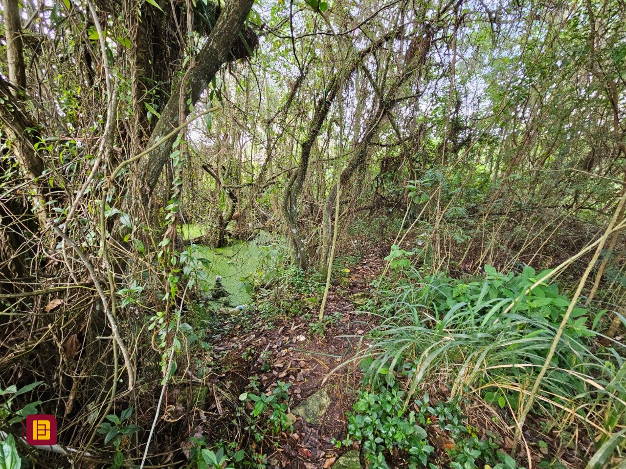 Terreno com 14520m², no bairro Ratones em Florianópolis