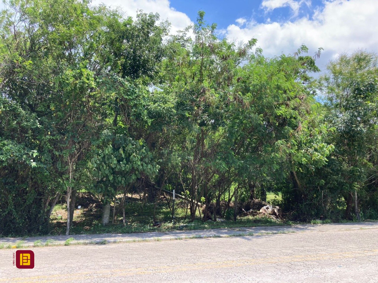 Terreno com 14520m², no bairro Ratones em Florianópolis