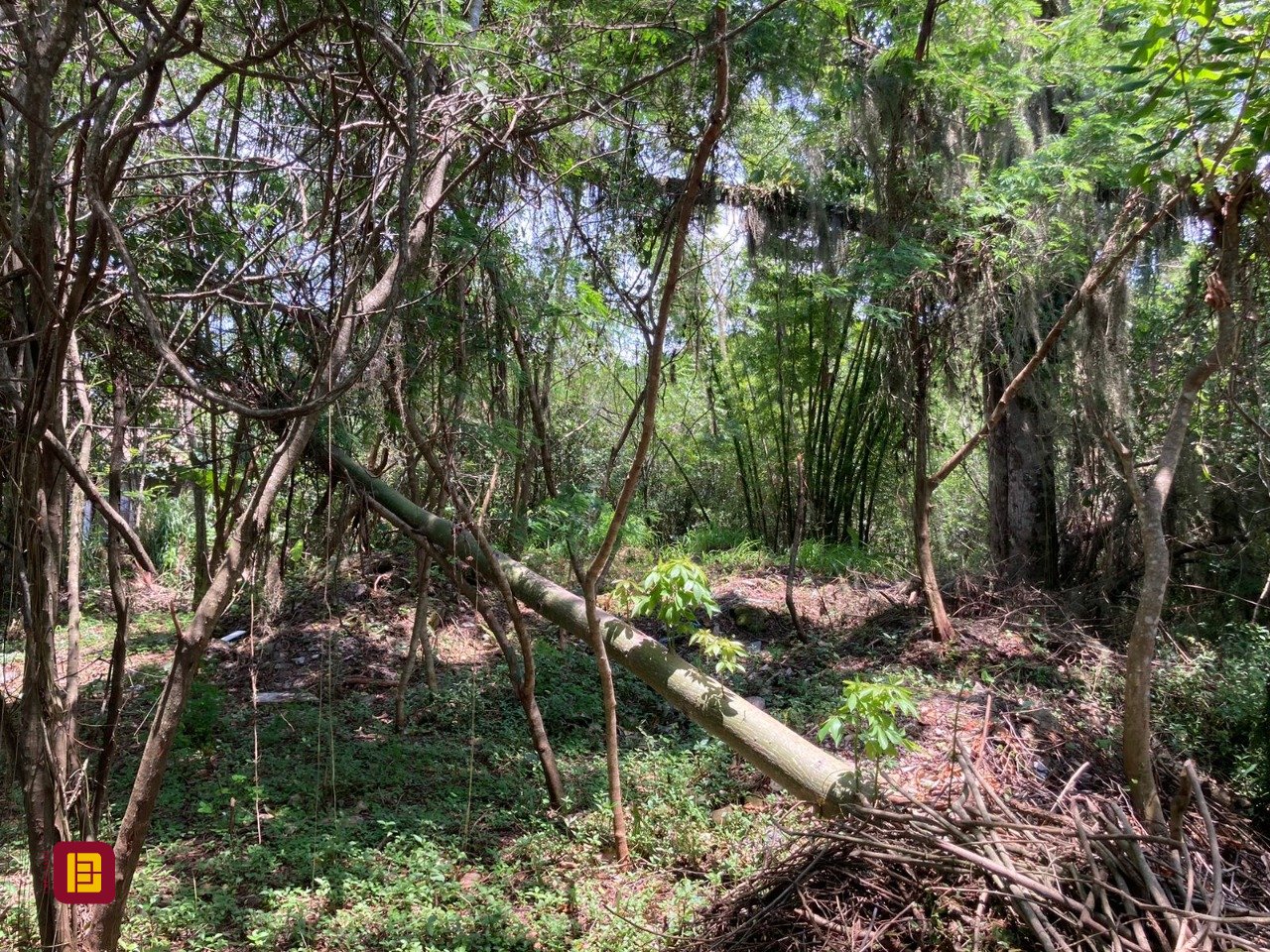 Terreno com 14520m², no bairro Ratones em Florianópolis