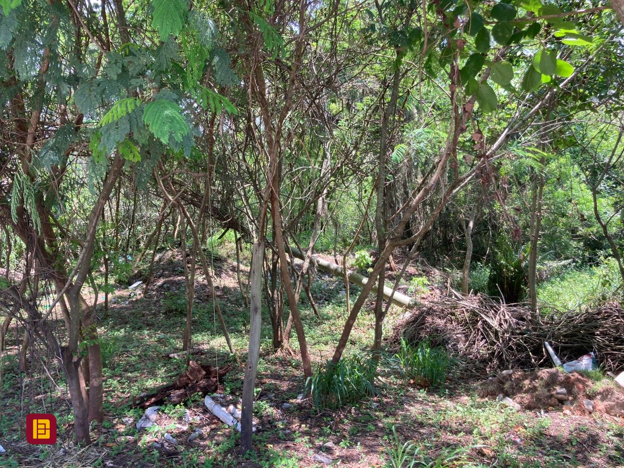 Terreno com 14520m², no bairro Ratones em Florianópolis