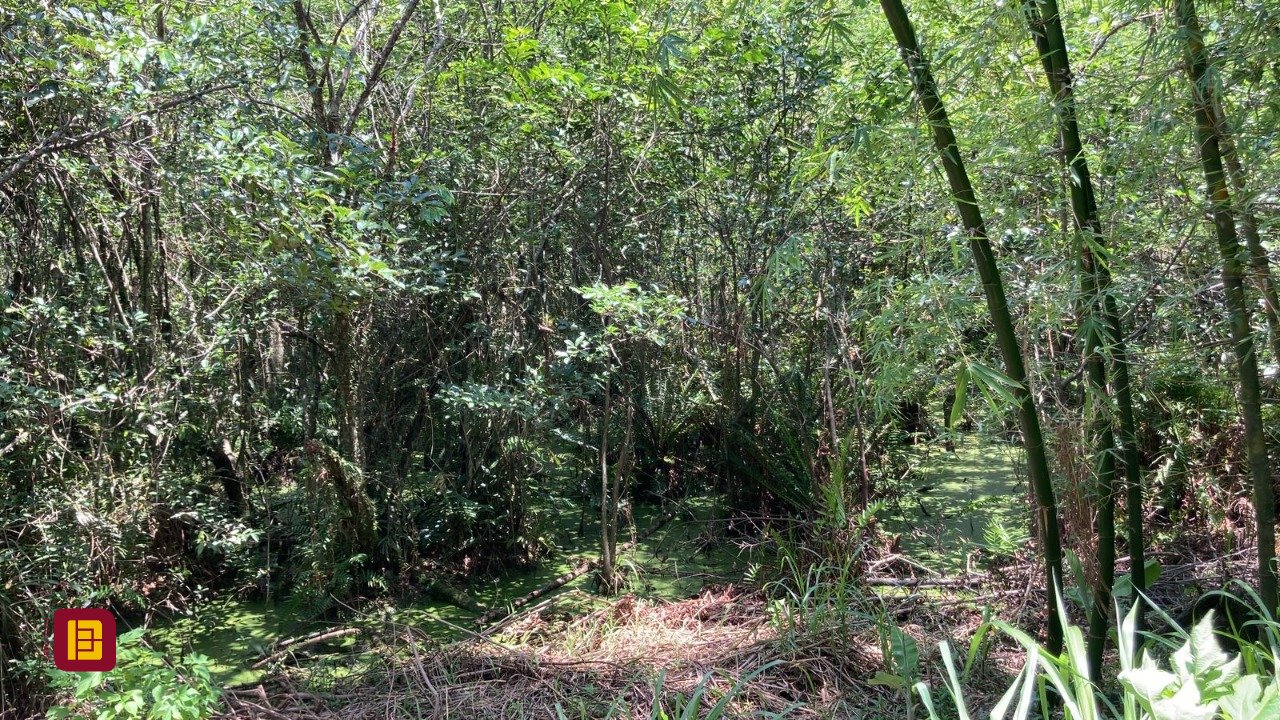 Terreno com 14520m², no bairro Ratones em Florianópolis