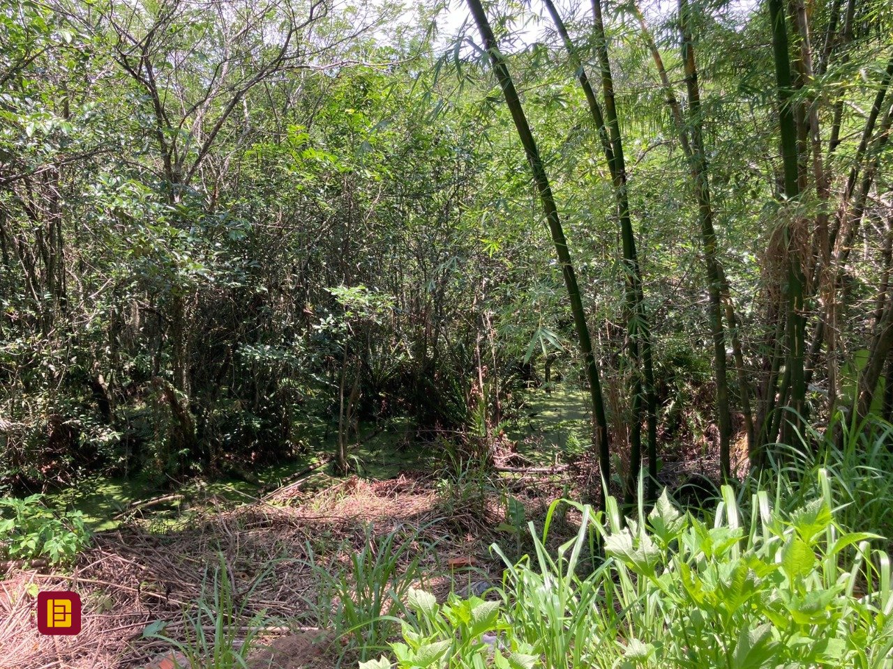 Terreno com 14520m², no bairro Ratones em Florianópolis