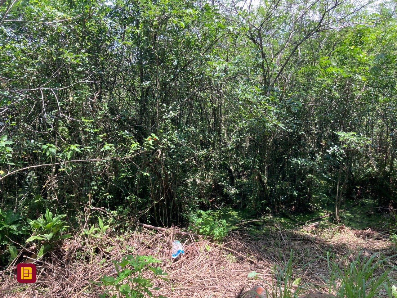 Terreno com 14520m², no bairro Ratones em Florianópolis