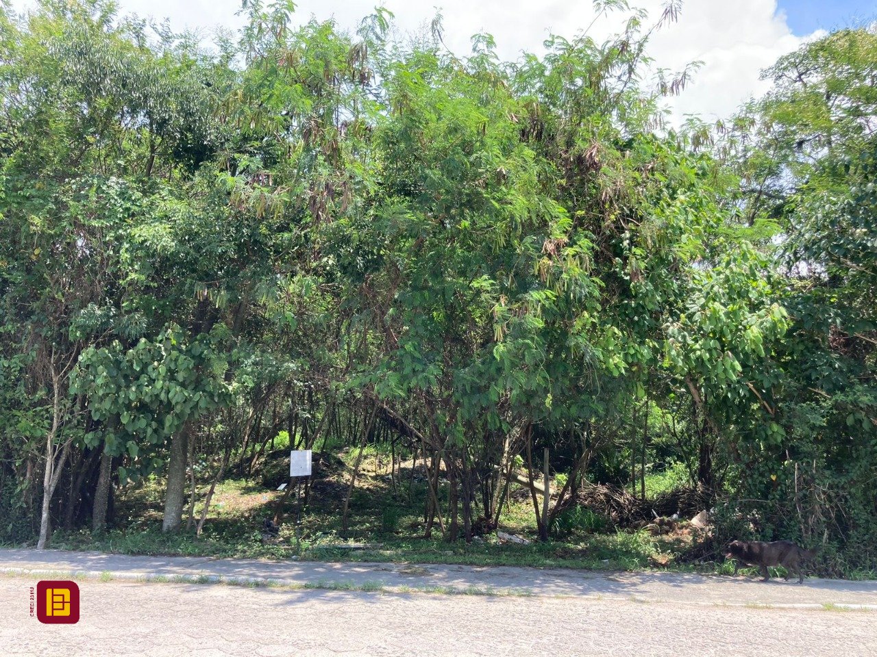 Terreno com 14520m², no bairro Ratones em Florianópolis