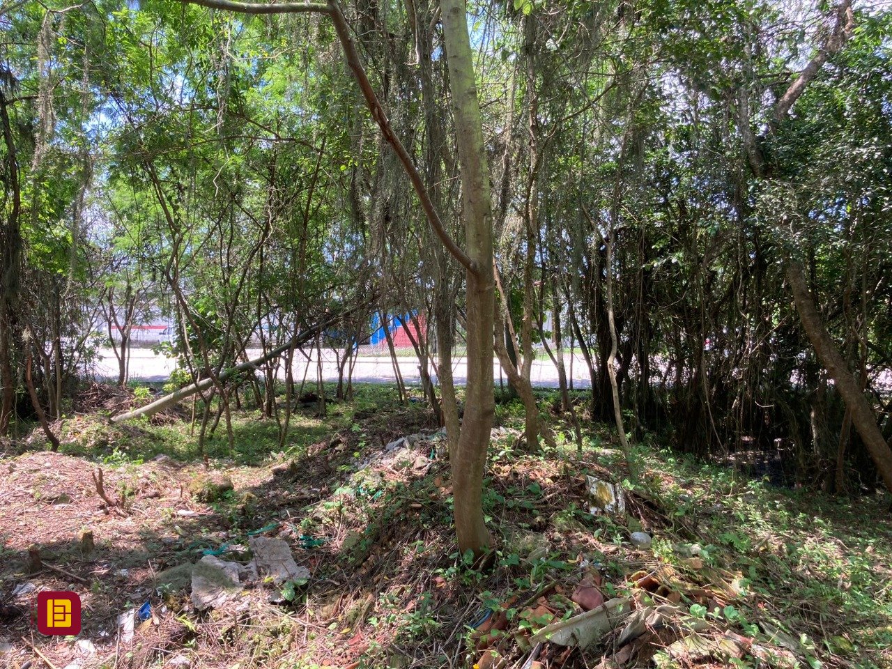 Terreno com 14520m², no bairro Ratones em Florianópolis