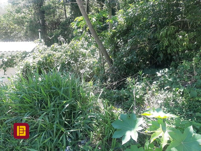 Terreno com 396m², no bairro Forquilhas em São José