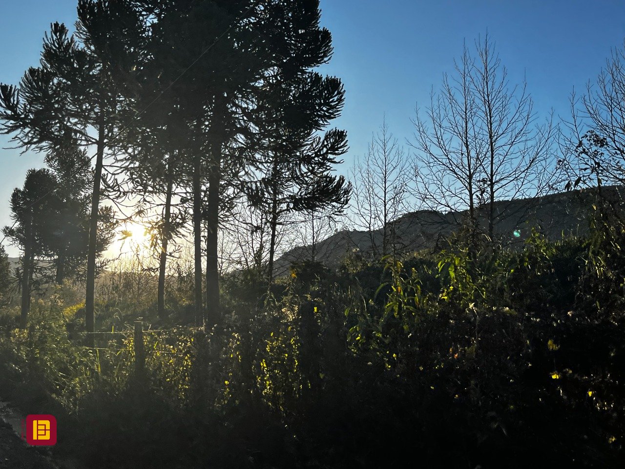 Terreno com 1164m², no bairro Invernadinha em Rancho Queimado