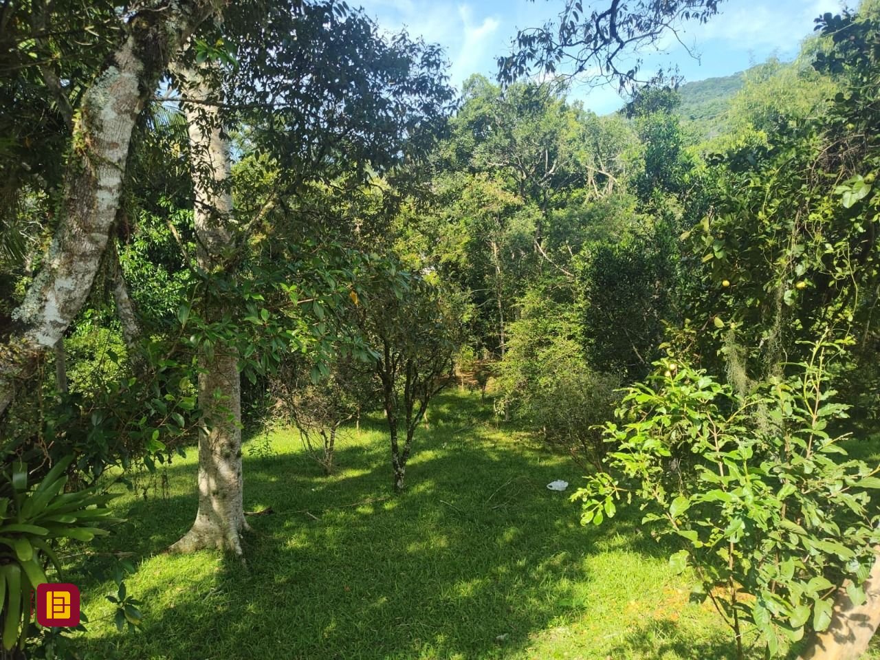 Terreno com 1312m², no bairro Córrego Grande em Florianópolis