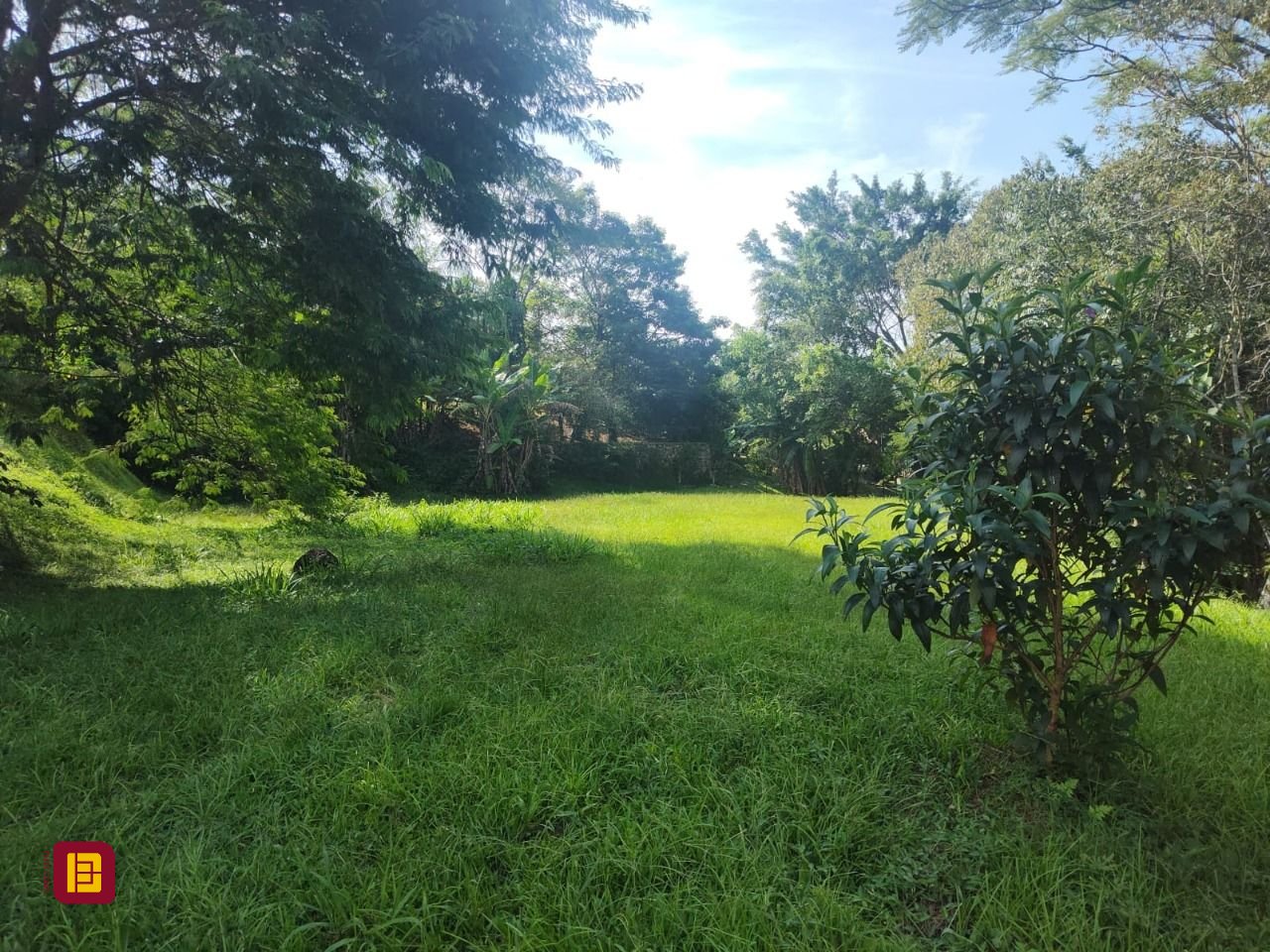 Terreno com 1312m², no bairro Córrego Grande em Florianópolis