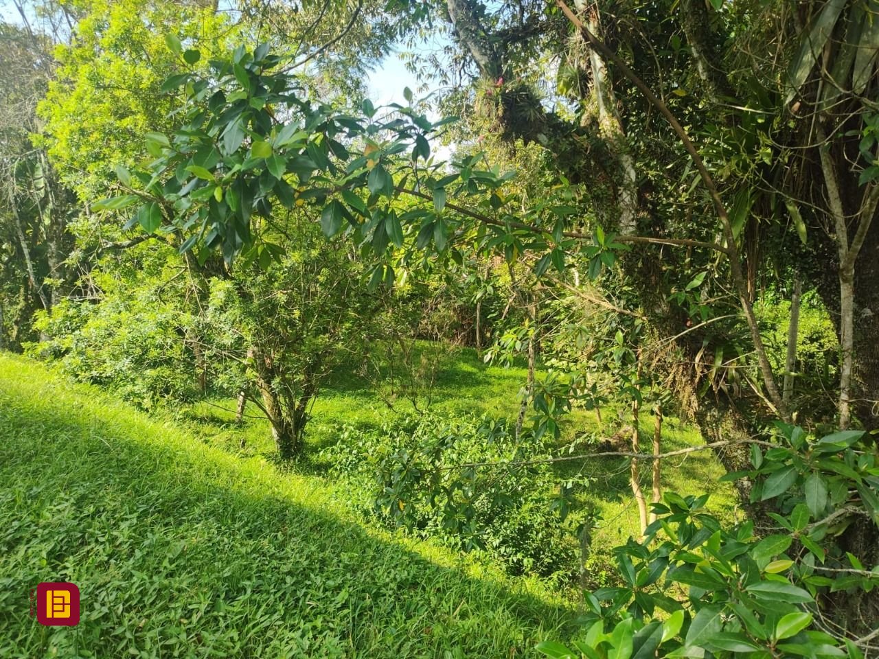 Terreno com 1312m², no bairro Córrego Grande em Florianópolis