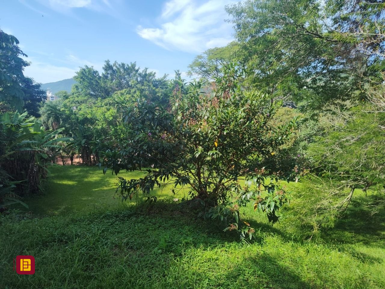 Terreno com 1312m², no bairro Córrego Grande em Florianópolis