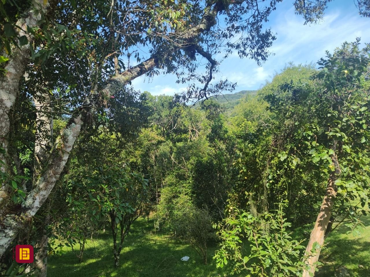 Terreno com 1312m², no bairro Córrego Grande em Florianópolis
