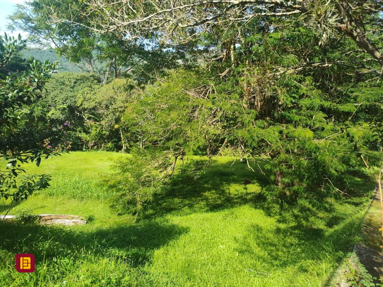 Terreno com 1312m², no bairro Córrego Grande em Florianópolis