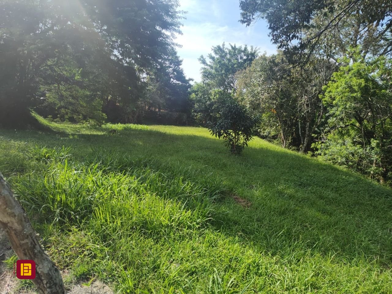 Terreno com 1312m², no bairro Córrego Grande em Florianópolis