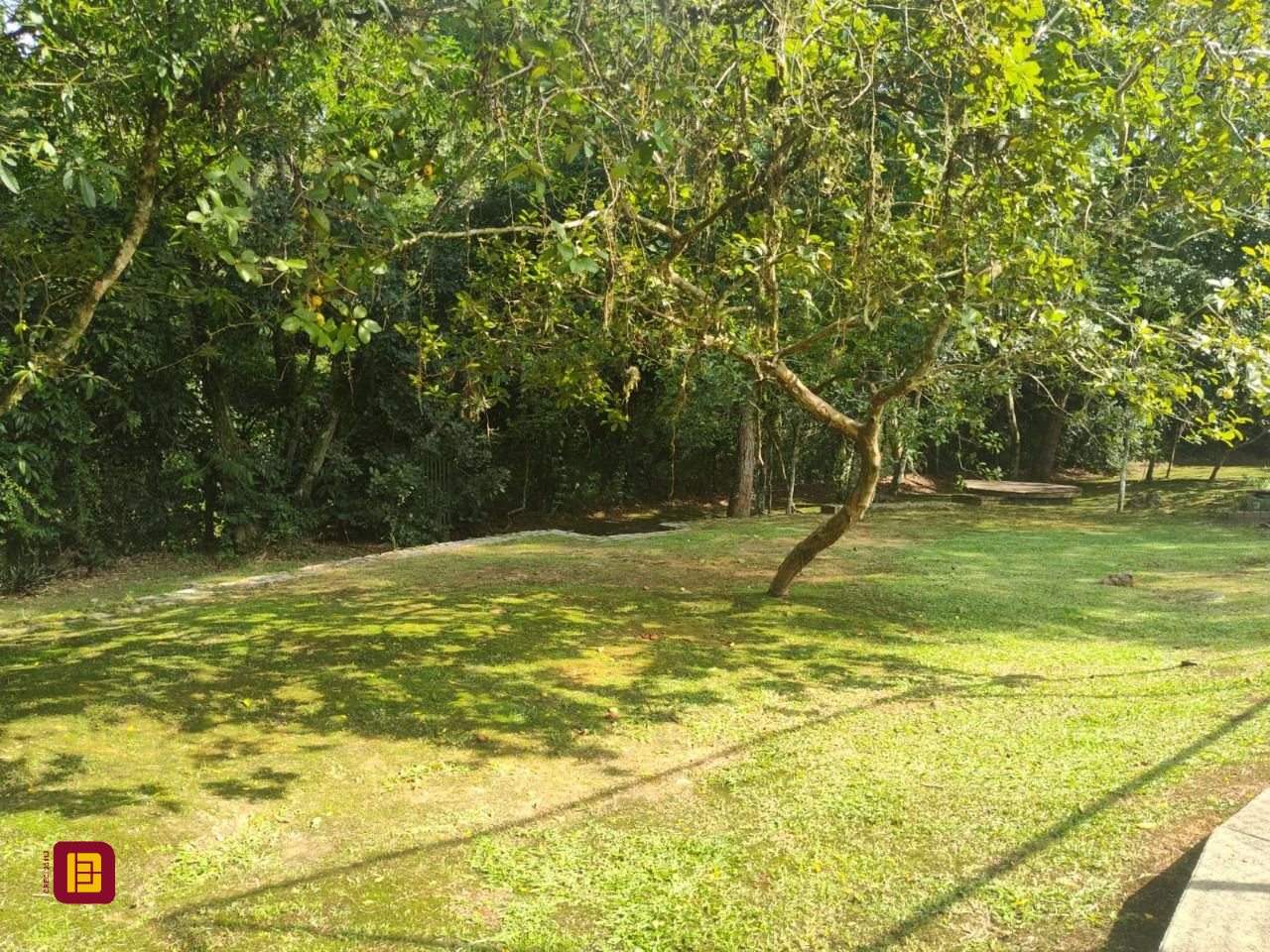 Terreno com 1312m², no bairro Córrego Grande em Florianópolis