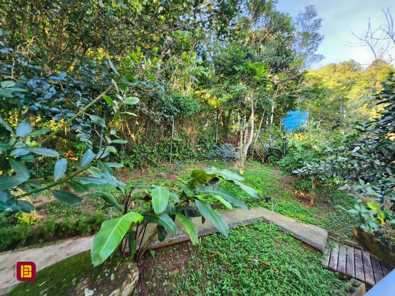 Casa com 264m², 5 quartos (sendo 1 suíte), 4 garagens, no bairro Itacorubi em Florianópolis