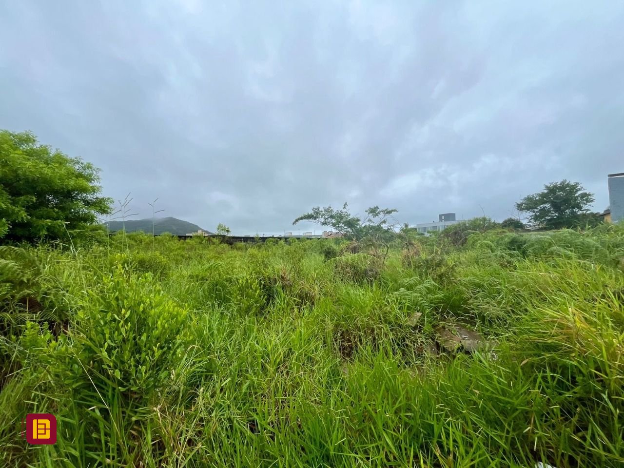 Terreno com 461m², no bairro Campeche em Florianópolis