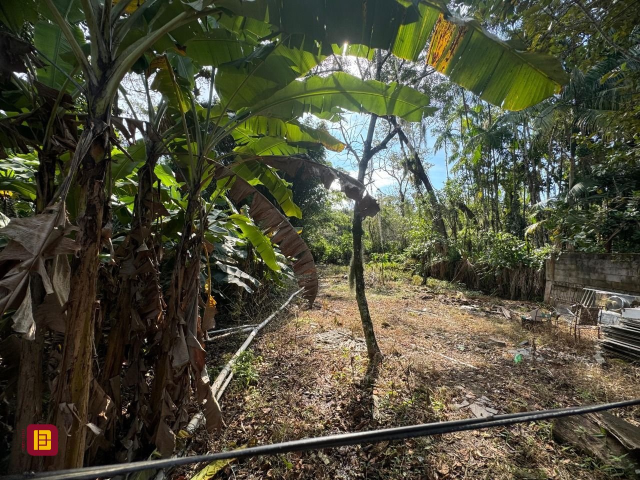 Terreno com 1036m², no bairro Rio Tavares em Florianópolis