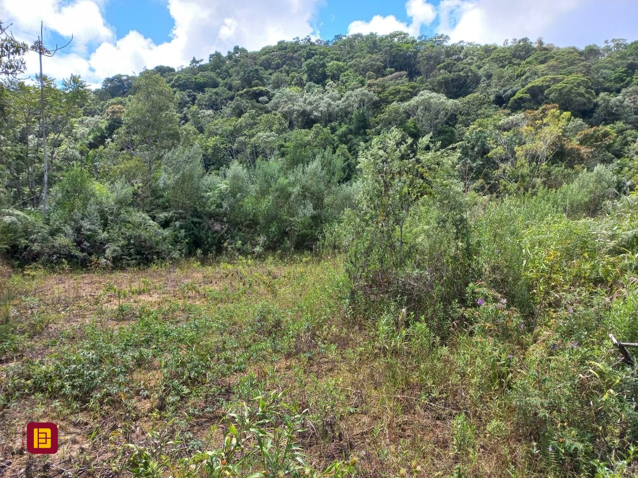 Terreno com 3780m², no bairro Fazenda Sacramento em Águas Mornas