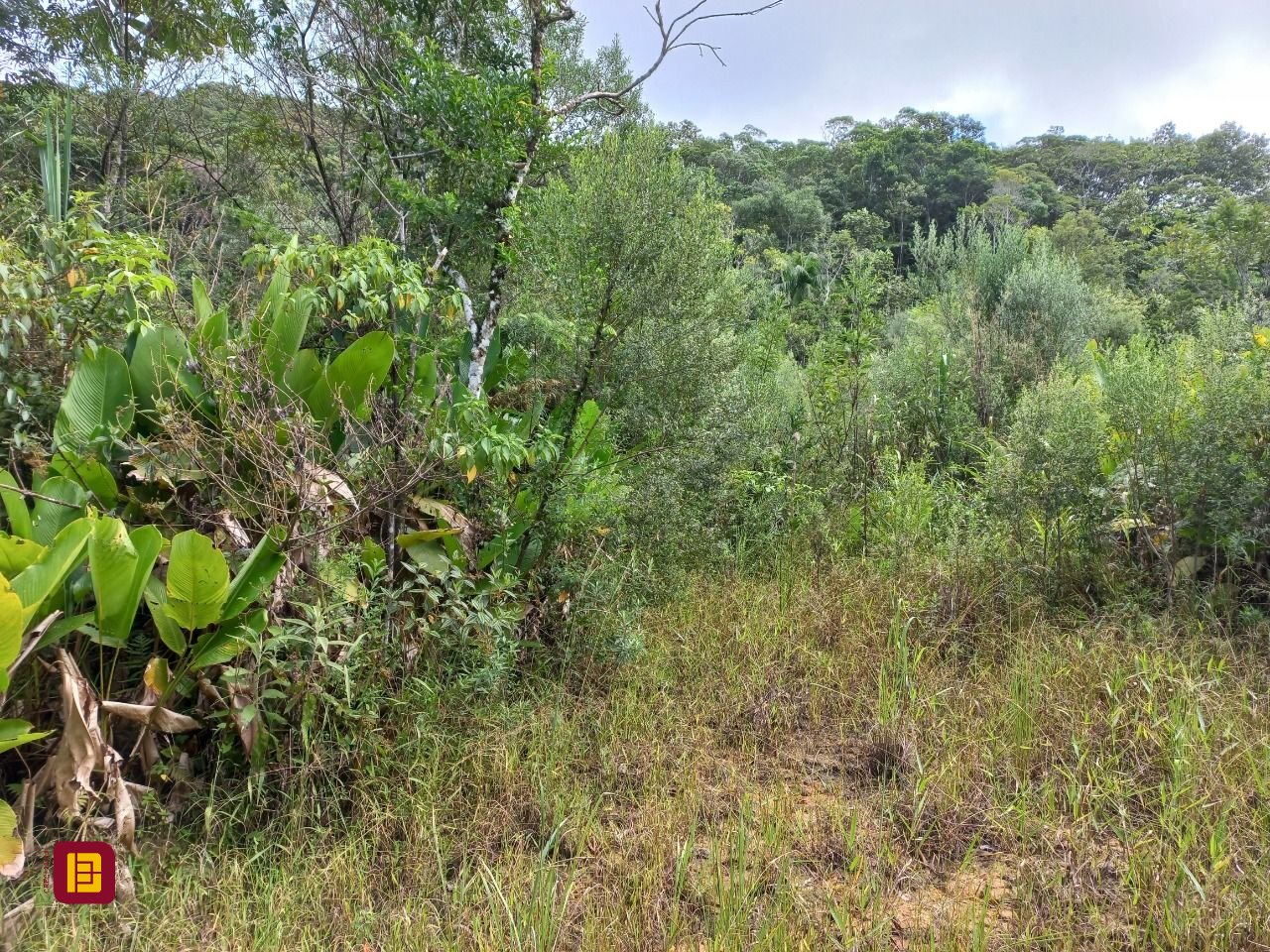 Terreno com 3780m², no bairro Fazenda Sacramento em Águas Mornas
