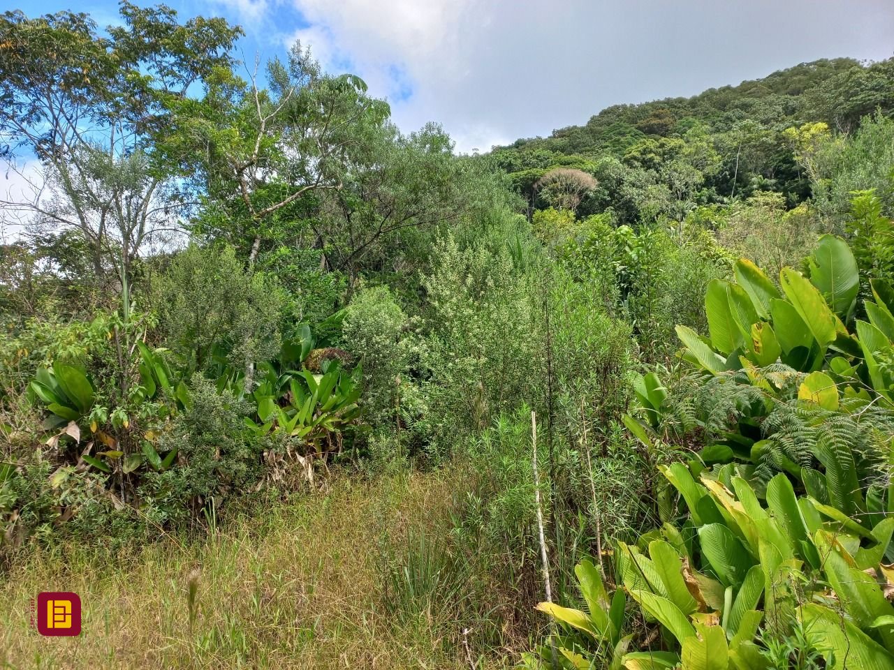Terreno com 3780m², no bairro Fazenda Sacramento em Águas Mornas