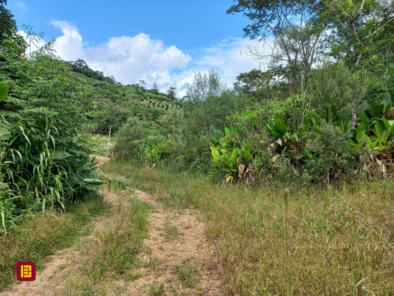 Terreno com 3780m², no bairro Fazenda Sacramento em Águas Mornas