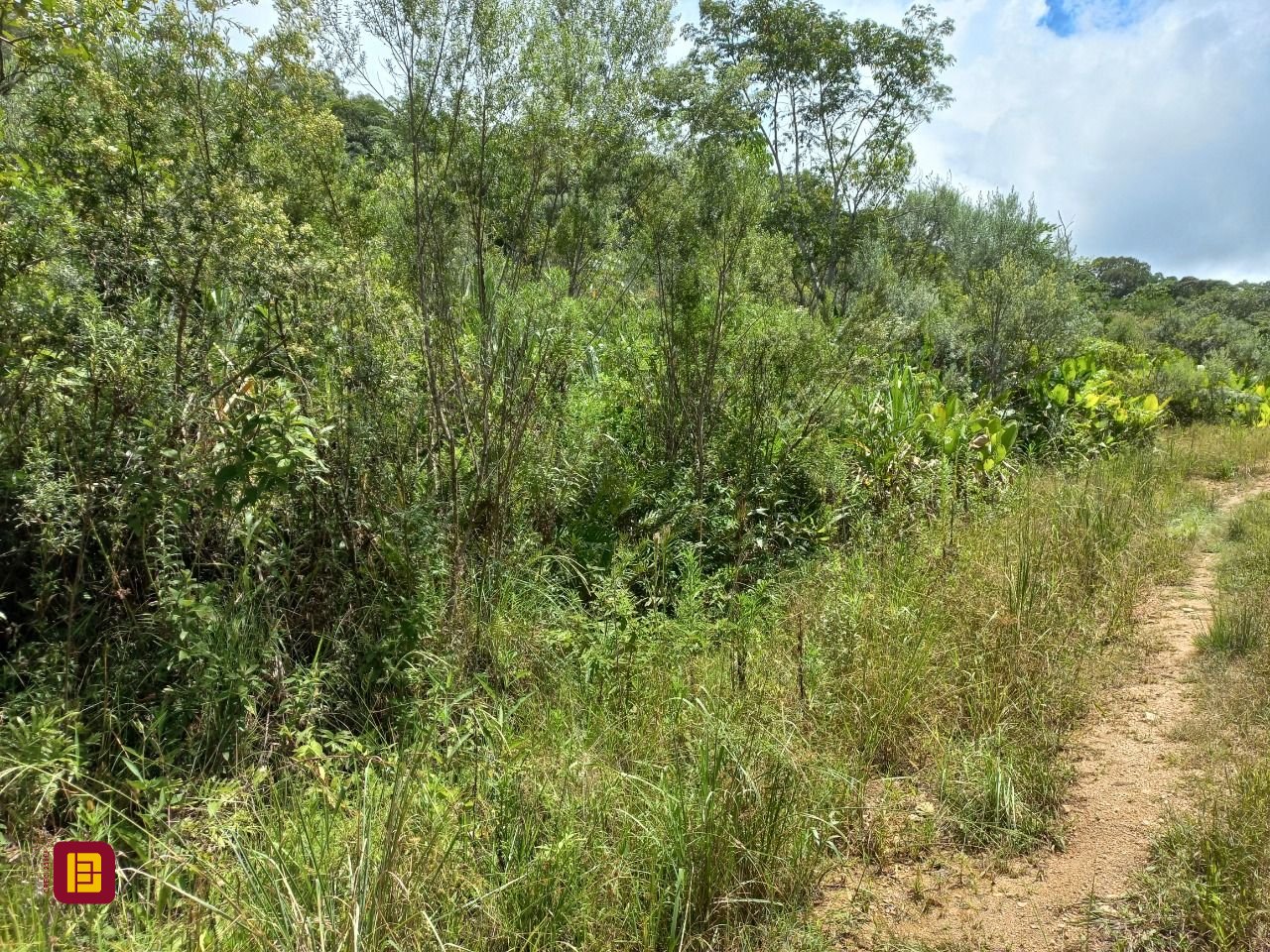 Terreno com 3780m², no bairro Fazenda Sacramento em Águas Mornas