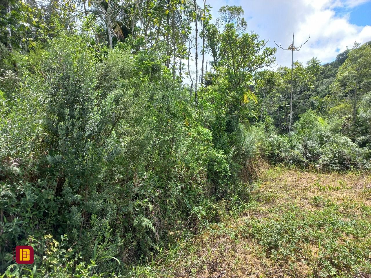 Terreno com 3780m², no bairro Fazenda Sacramento em Águas Mornas