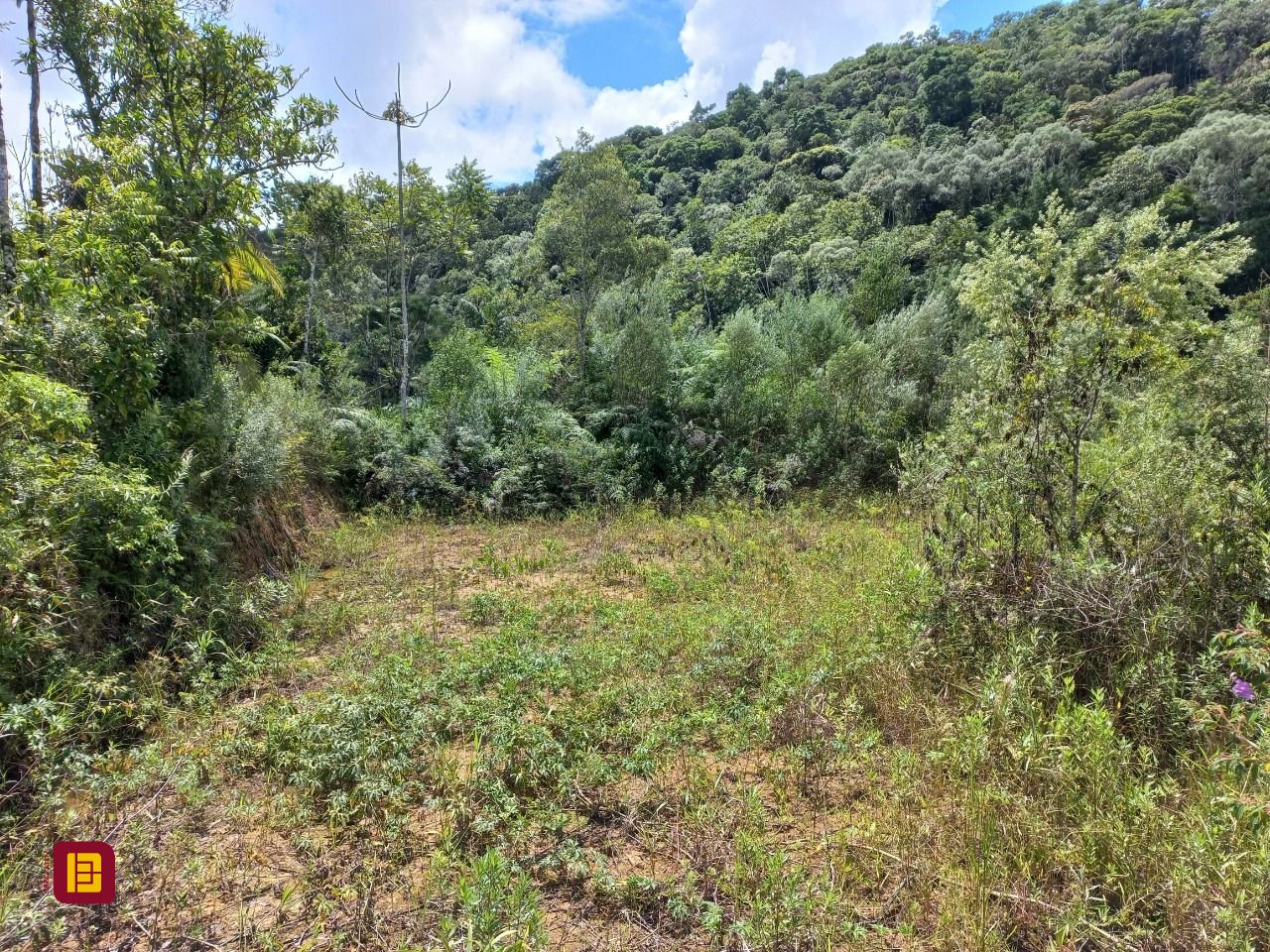 Terreno com 3780m², no bairro Fazenda Sacramento em Águas Mornas