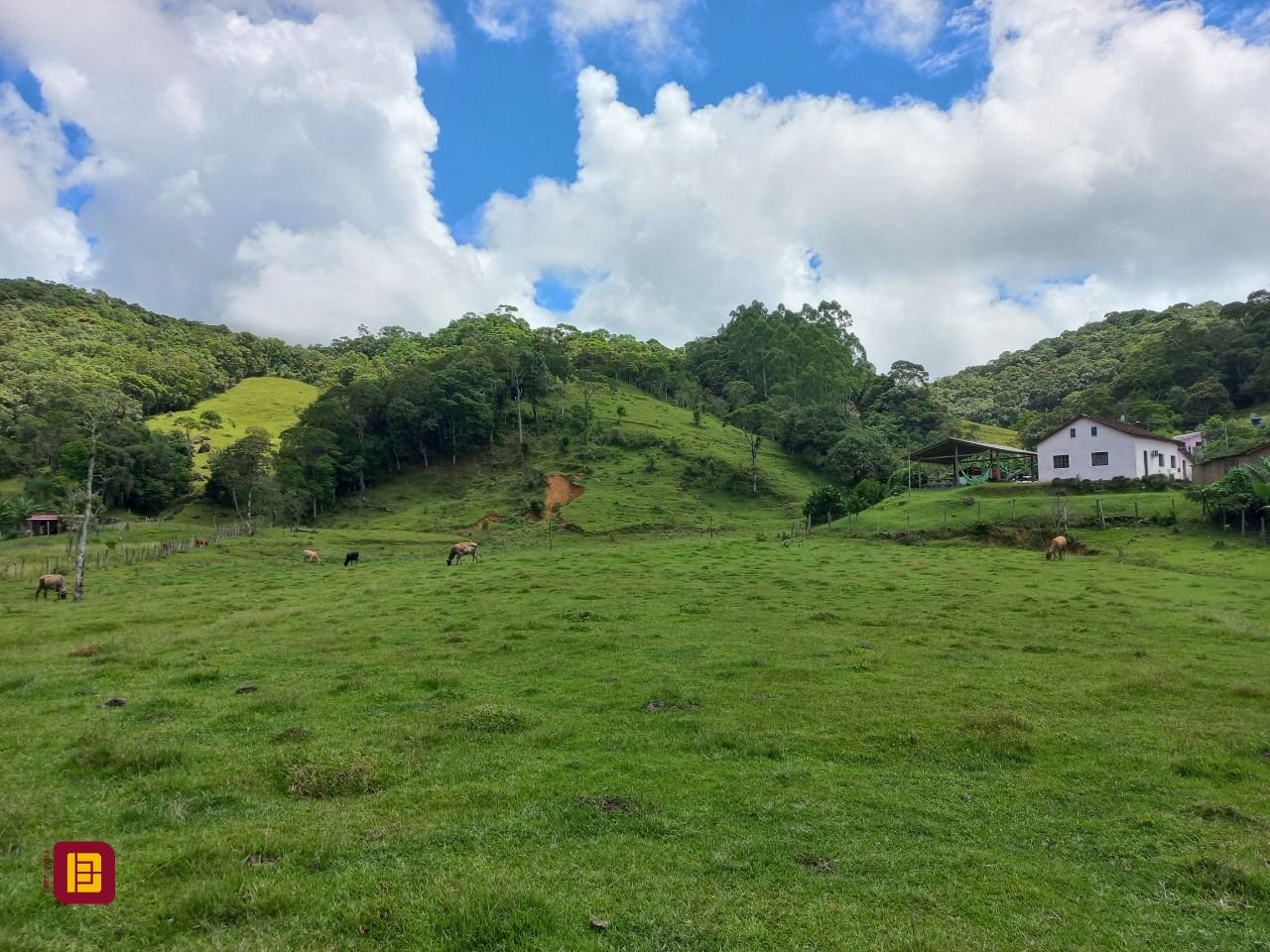 Terreno com 11000m², no bairro Fazenda em Águas Mornas