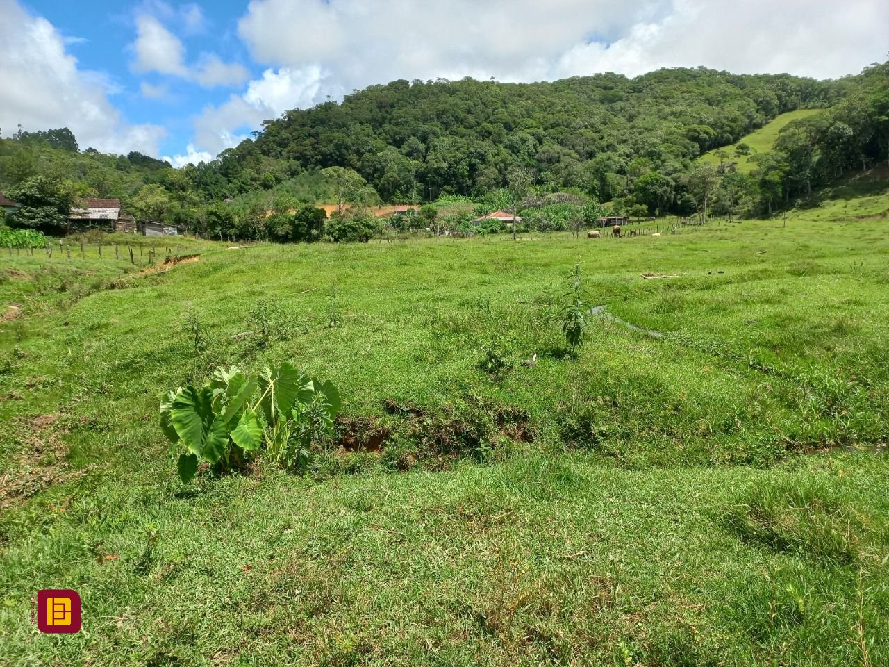 Terreno com 11000m², no bairro Fazenda em Águas Mornas